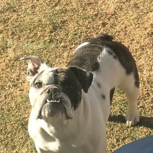 Meet your Posher, Chris